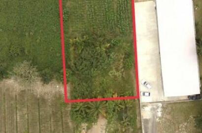 3 Lots For Sale Mt. Lambert